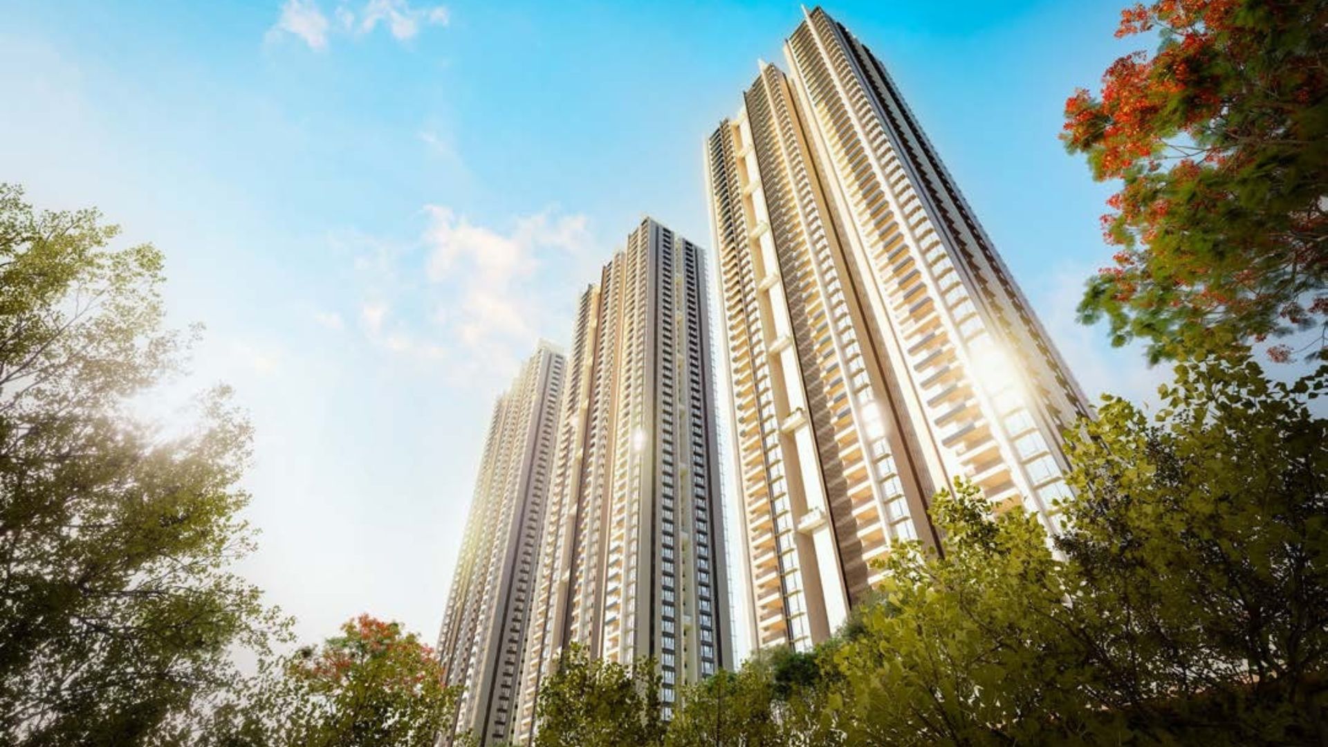 asbl-bradway-dream-blocks-1